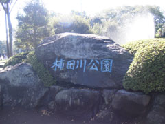 柿田川湧水群