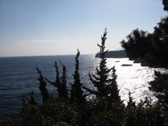 海に来たって感じです