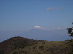 富士山がキレイ