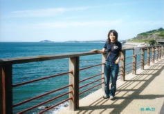 海岸線を北上