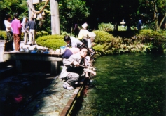 白川水源