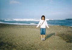 綺麗な海岸線
