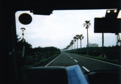 南国ムードたっぷり